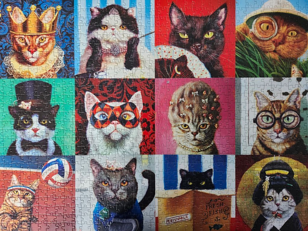 A collage of 12 distinct portraits of stylized cats in various costumes and settings.