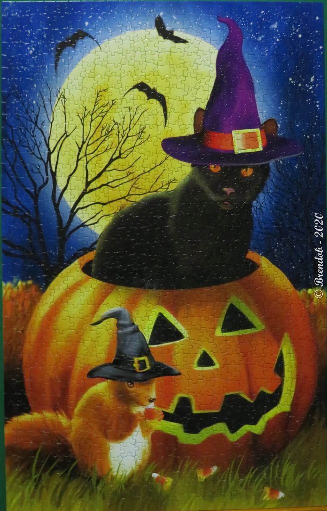 A black cat and a squirrel in witch hats sitting by a large jack-o