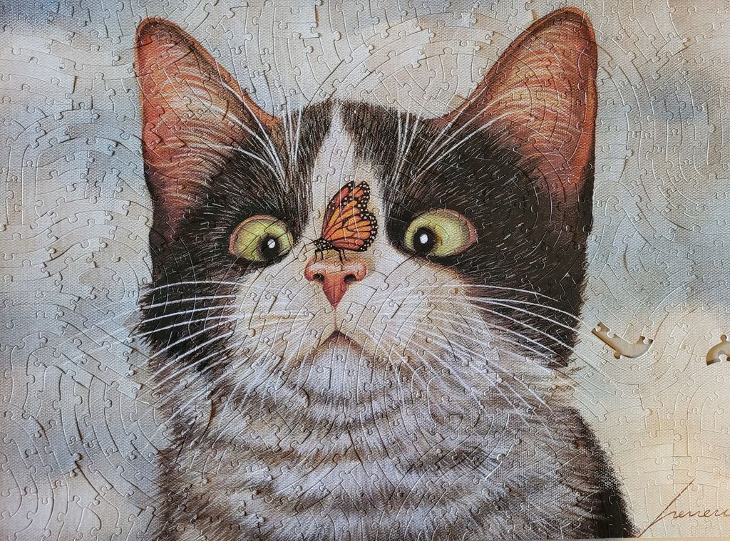 Close-up illustration of a black and white cat with wide, curious eyes and a monarch butterfly perched on its nose.