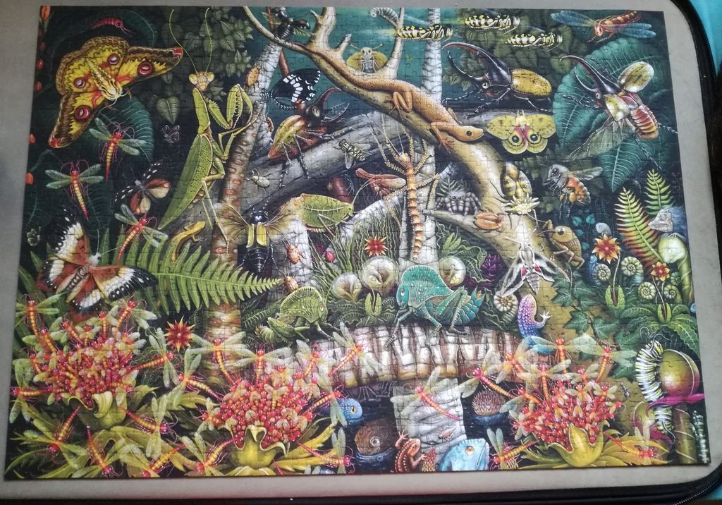 A lush, detailed illustration of an insect-filled tropical forest scene.