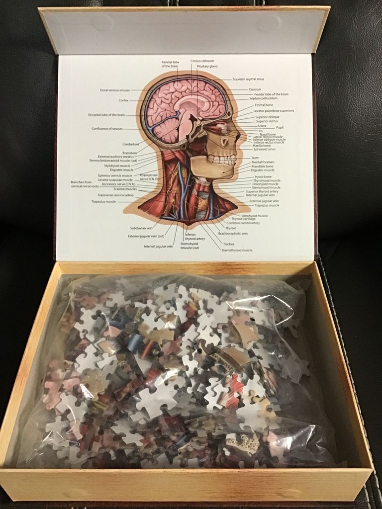 Volume I : The Human Head