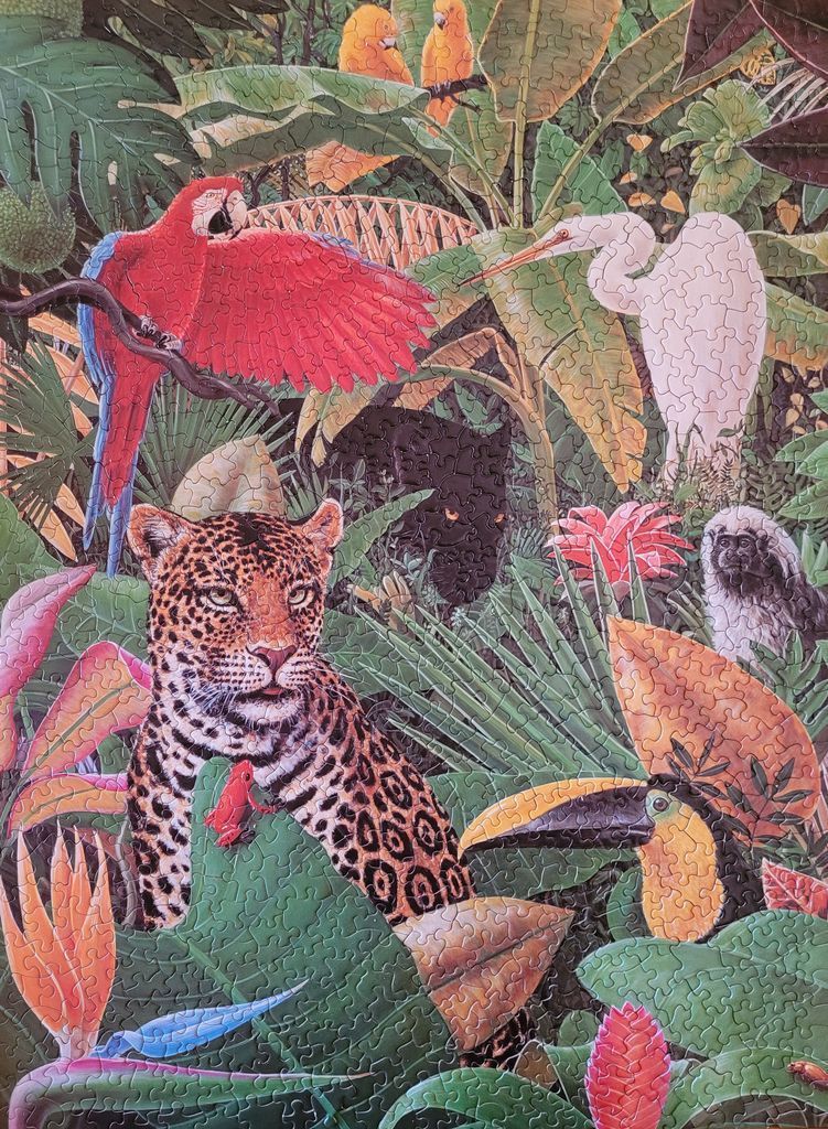 A lush jungle scene filled with diverse tropical birds and animals like a leopard, panther, and toucan.