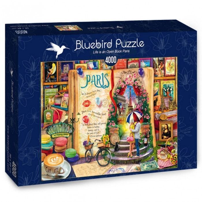 A whimsical illustration of a giant open book featuring Paris, a couple kissing under an umbrella, and surrounding bookshelve