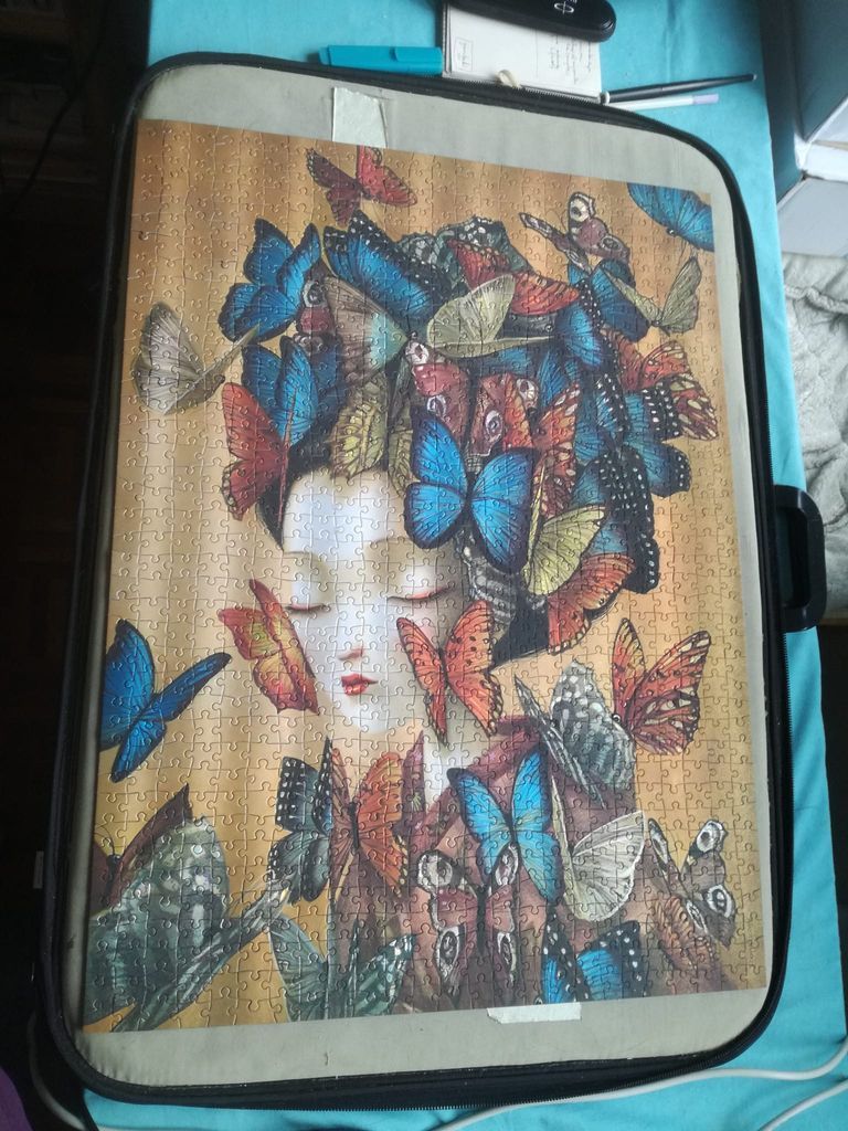 Portrait of a woman with her hair styled as a cascade of colourful butterflies