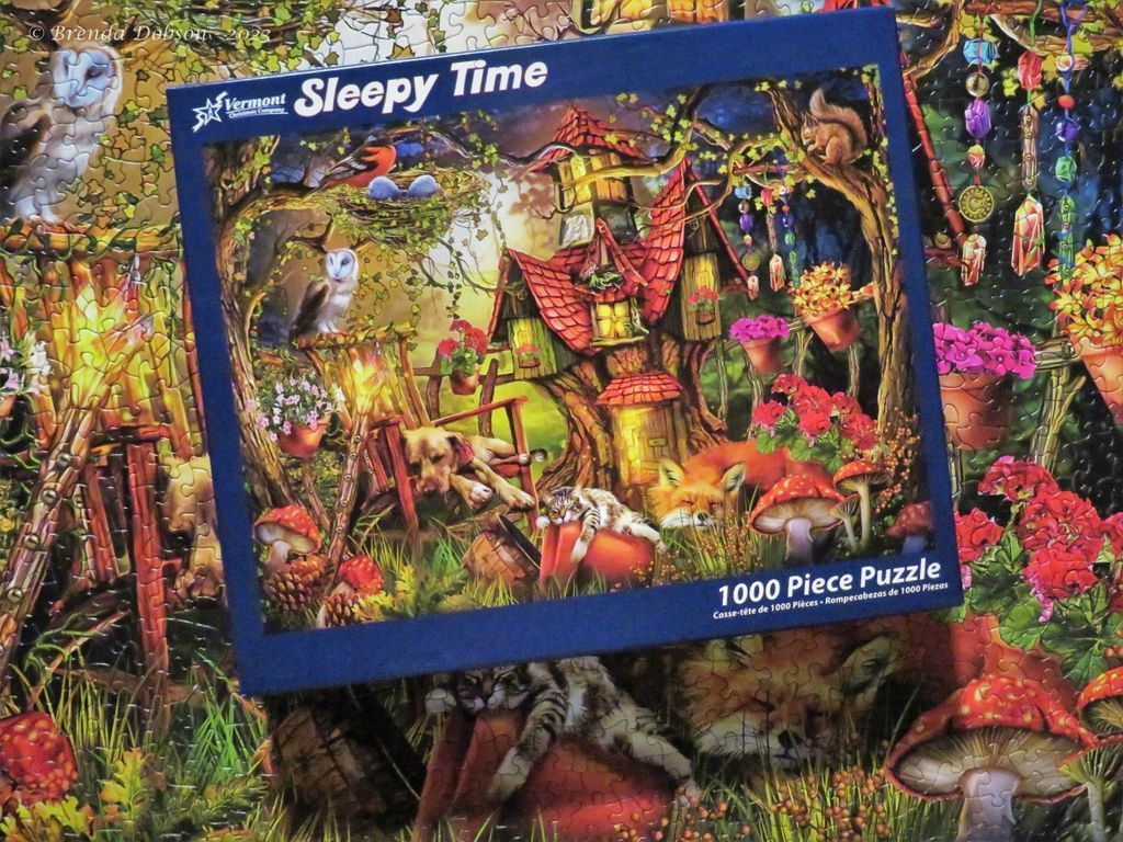 Sleepy Time