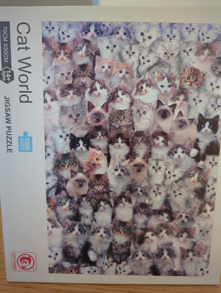 A dense collage of dozens of fluffy kittens and cats looking toward the viewer.