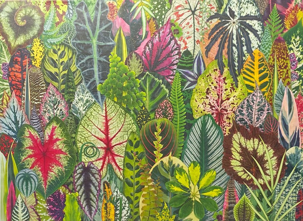 A vibrant and detailed illustration packed with a dense collage of various tropical foliage and patterned houseplant leaves.