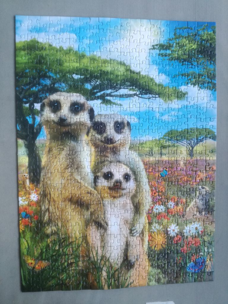 A group of three meerkats standing in a colorful wildflower meadow under acacia trees.