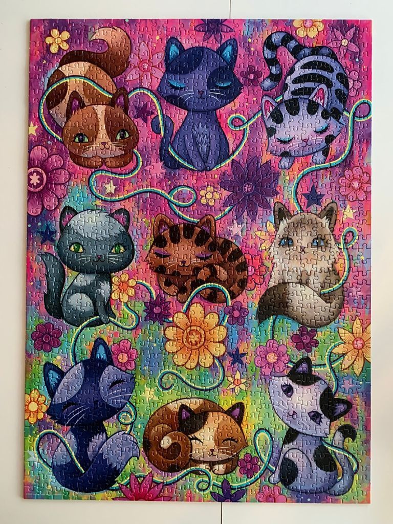 A whimsical illustration of eight stylized, colourful cats surrounded by flowers and a winding teal yarn trail.