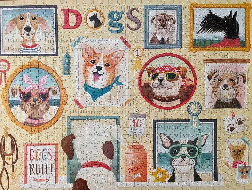 Collage of various dog portraits and themed accessories on a light yellow background