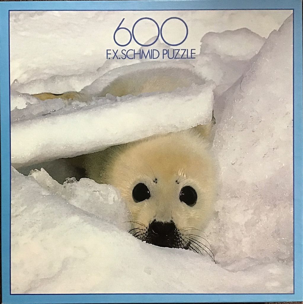 A close-up photograph of a fluffy white harp seal pup peeking out from a snow den.