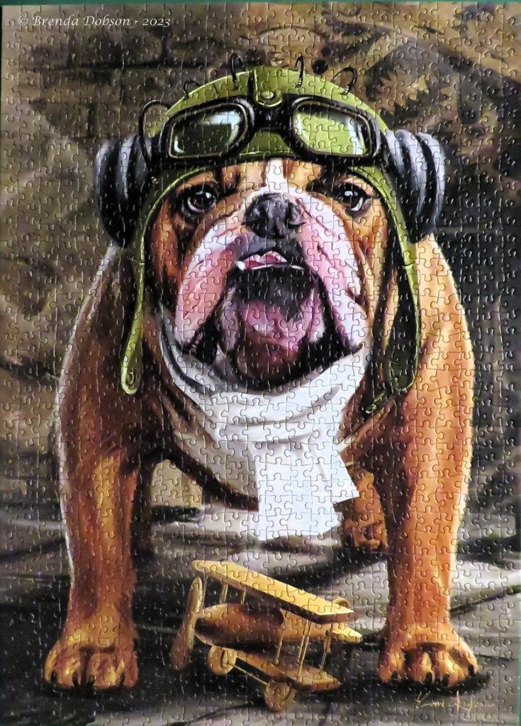 An illustration of a bulldog wearing vintage pilot gear standing over a small wooden toy airplane.
