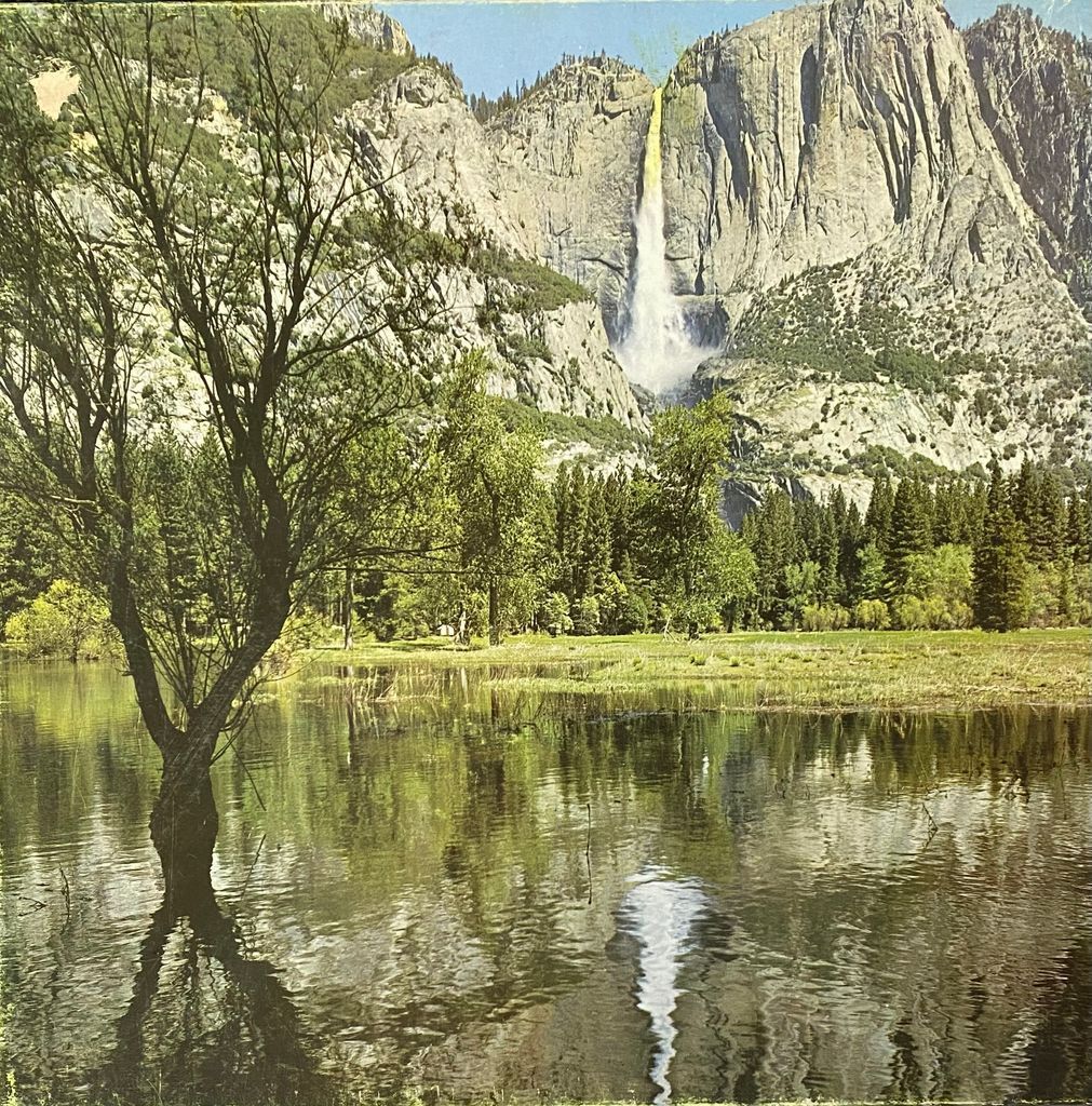A photograph of a tall waterfall cascading down a granite mountain cliff behind a calm marshy lake and foreground tree.