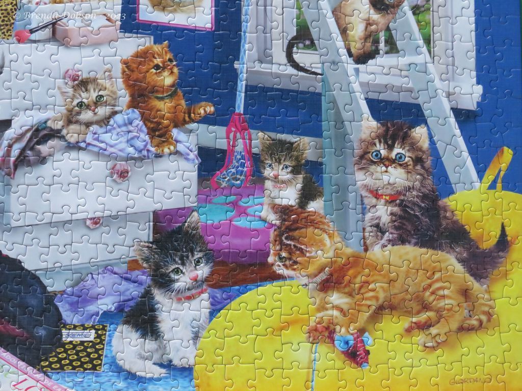 Several fluffy kittens playing in a room with blue walls and a white easel
