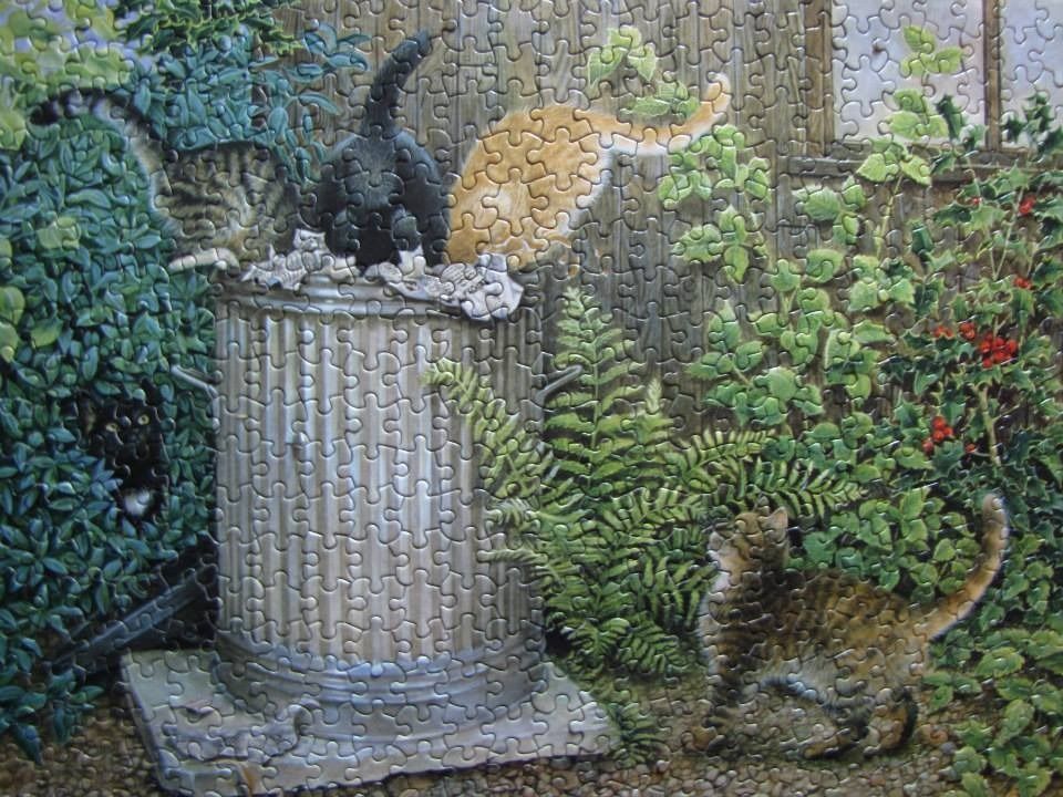 Several cats exploring a metal trash can in a lush, green garden setting