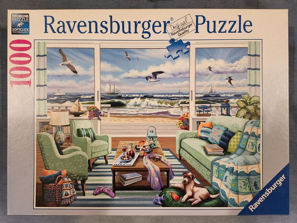 A cozy living room view overlooking a beach and ocean scene with a dog resting on the floor.