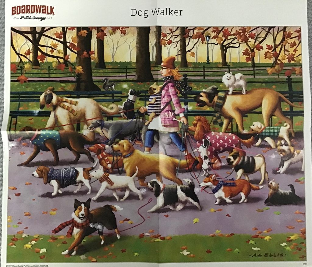 A person walking a large group of dogs of various breeds through an autumn park.