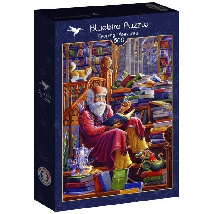 An elderly wizard with a white beard sits in a library surrounded by books, a cat, and small mythical creatures.