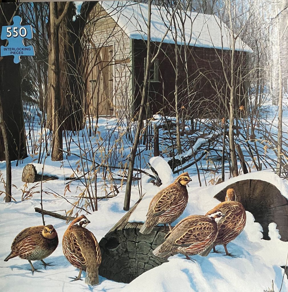 A group of quail gathered in a snowy woodland clearing near an old wooden shed.