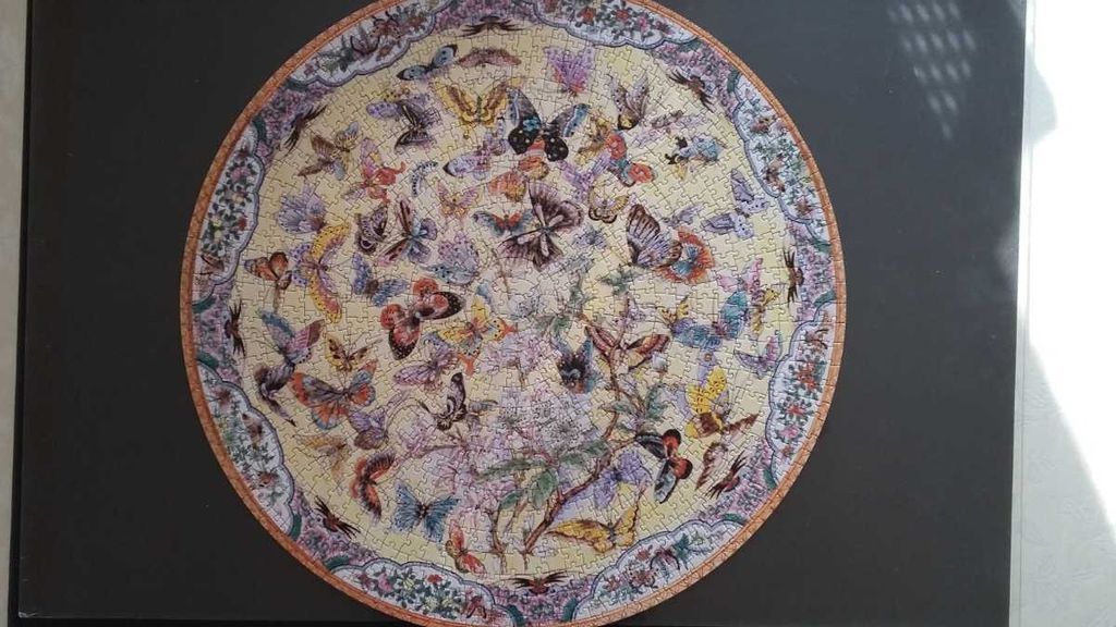 Circular illustration featuring dozens of colorful butterflies surrounding a central floral motif.