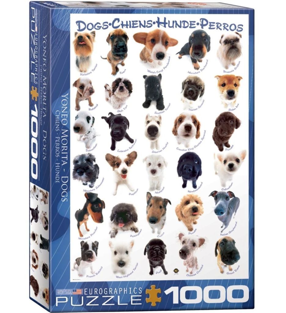 A collage of 25 different puppy breeds photographed in a wide-angle style against a white background.