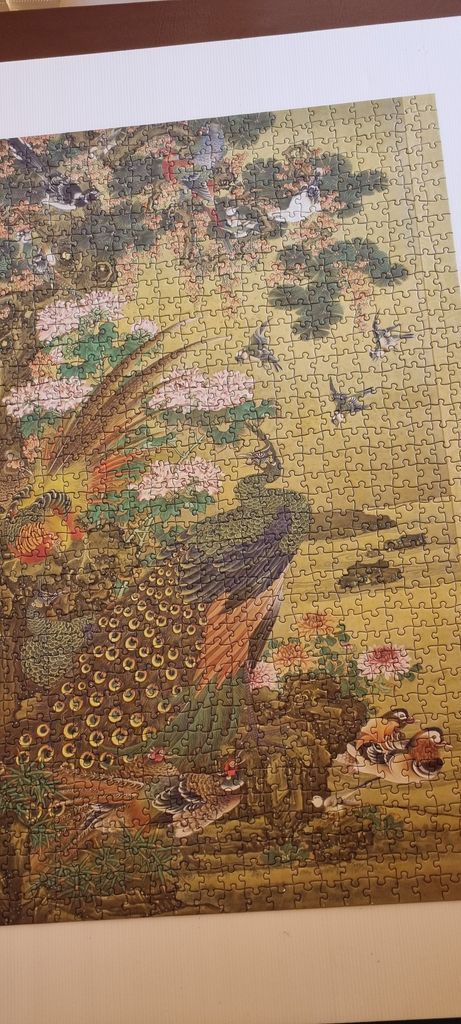 An illustration in the style of classical East Asian art depicting a peacock, ducks, and various birds in a garden.
