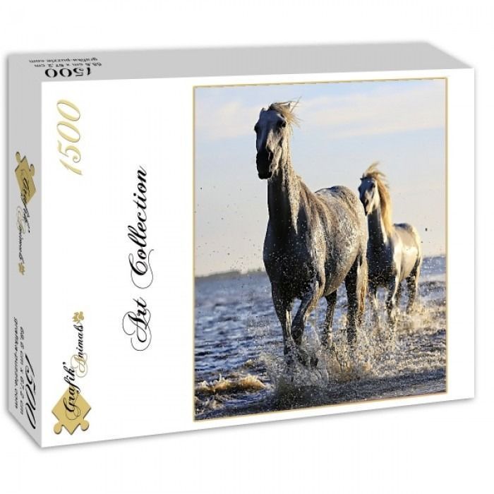 Two light grey horses running through shallow water in a sunlit outdoor setting.