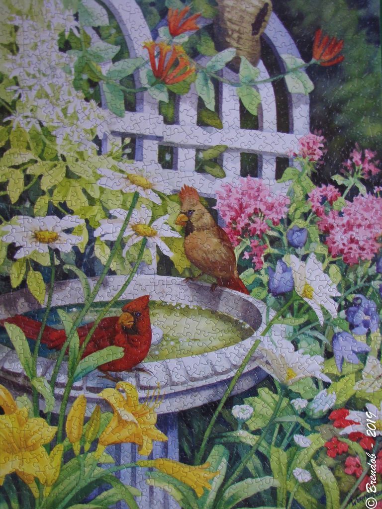 Two cardinals at a stone birdbath in a lush garden with a white lattice fence background.