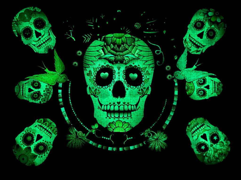 A large glowing green skull surrounded by five smaller skulls and two birds against a solid black background.