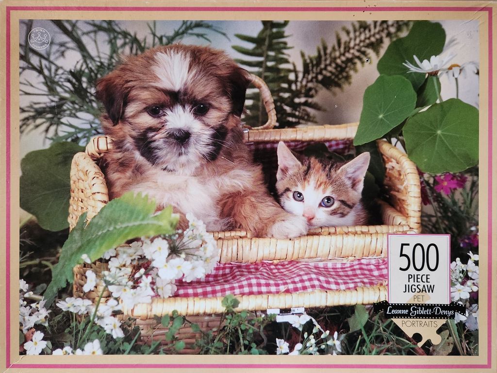 A puppy and a kitten sitting together in a wicker basket surrounded by garden plants.