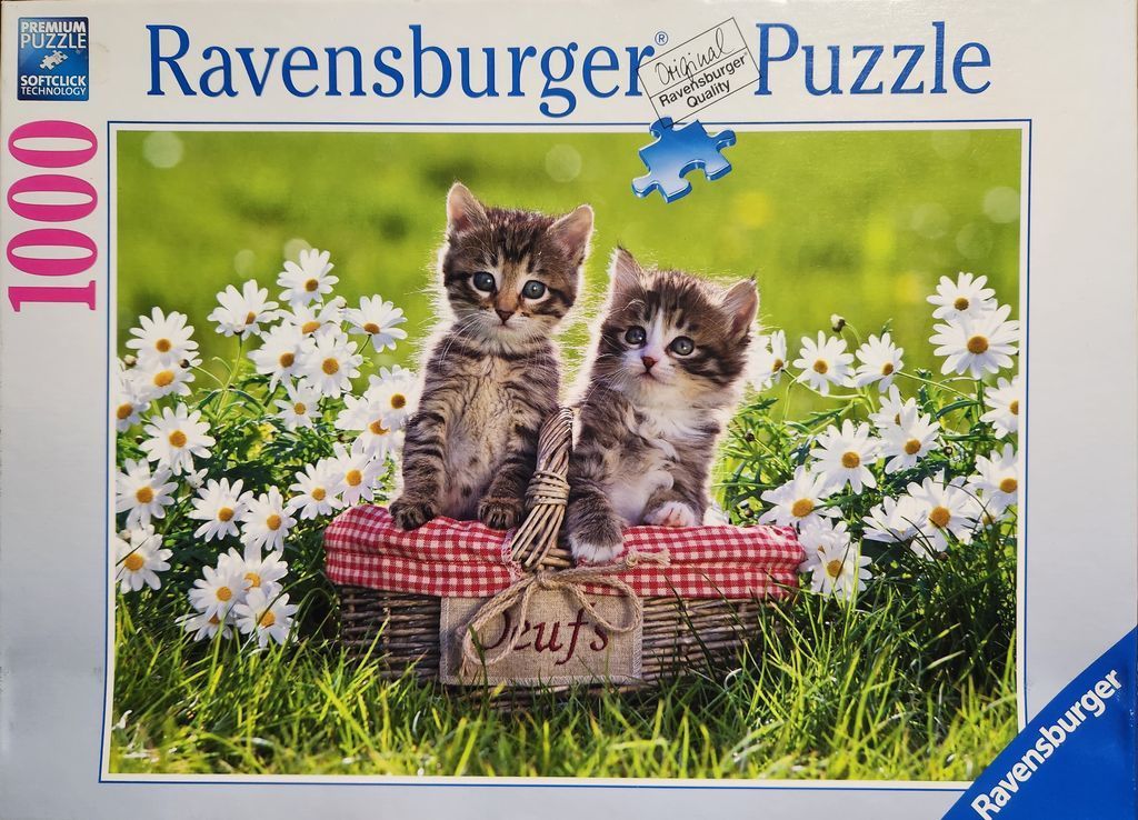 Two fluffy tabby kittens sitting together inside a woven wicker basket surrounded by white daisies in a grassy meadow.
