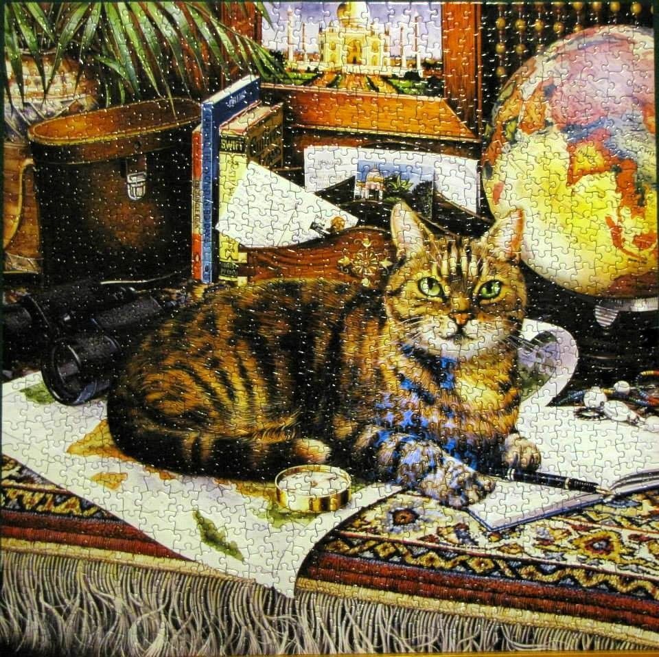 A tabby cat resting on a world map surrounded by travel-themed objects like a globe, binoculars, and books.