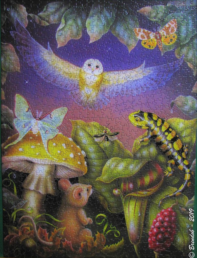 A whimsical illustration of a night scene featuring a barn owl, salamander, mouse, and colorful moths.