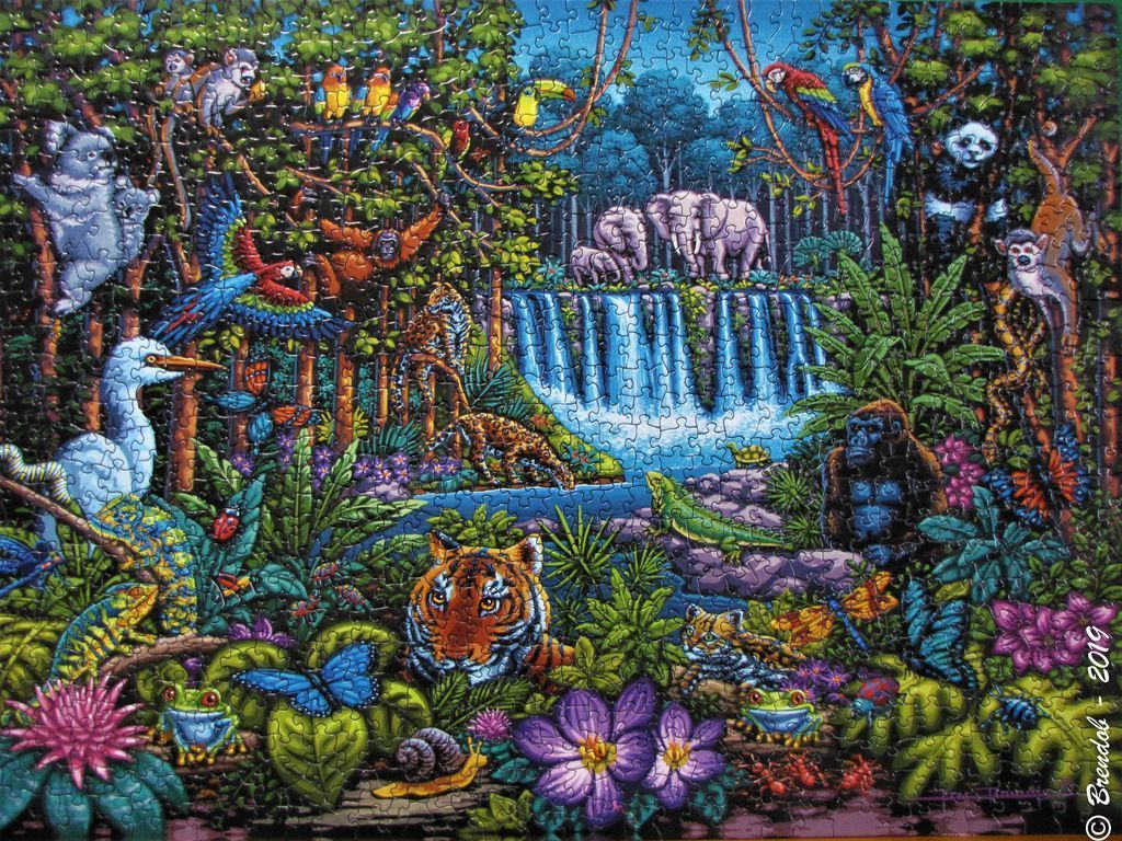 A lush jungle scene filled with diverse animals including a tiger, elephants, a gorilla, and various tropical birds.