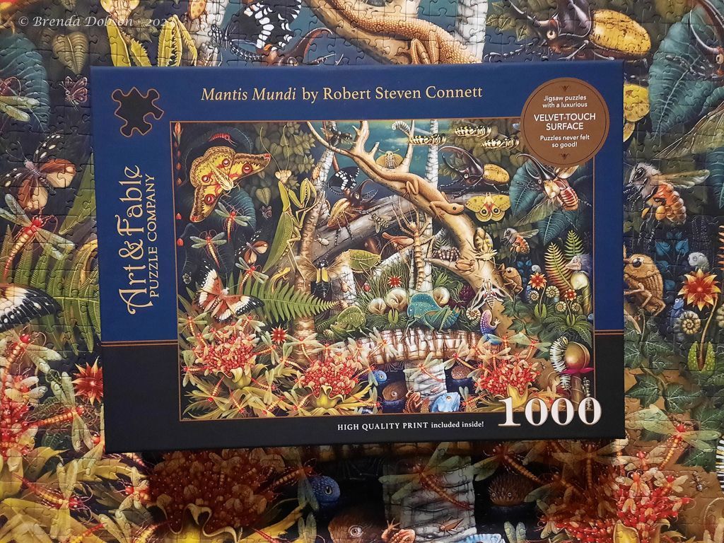Mantis Mundi