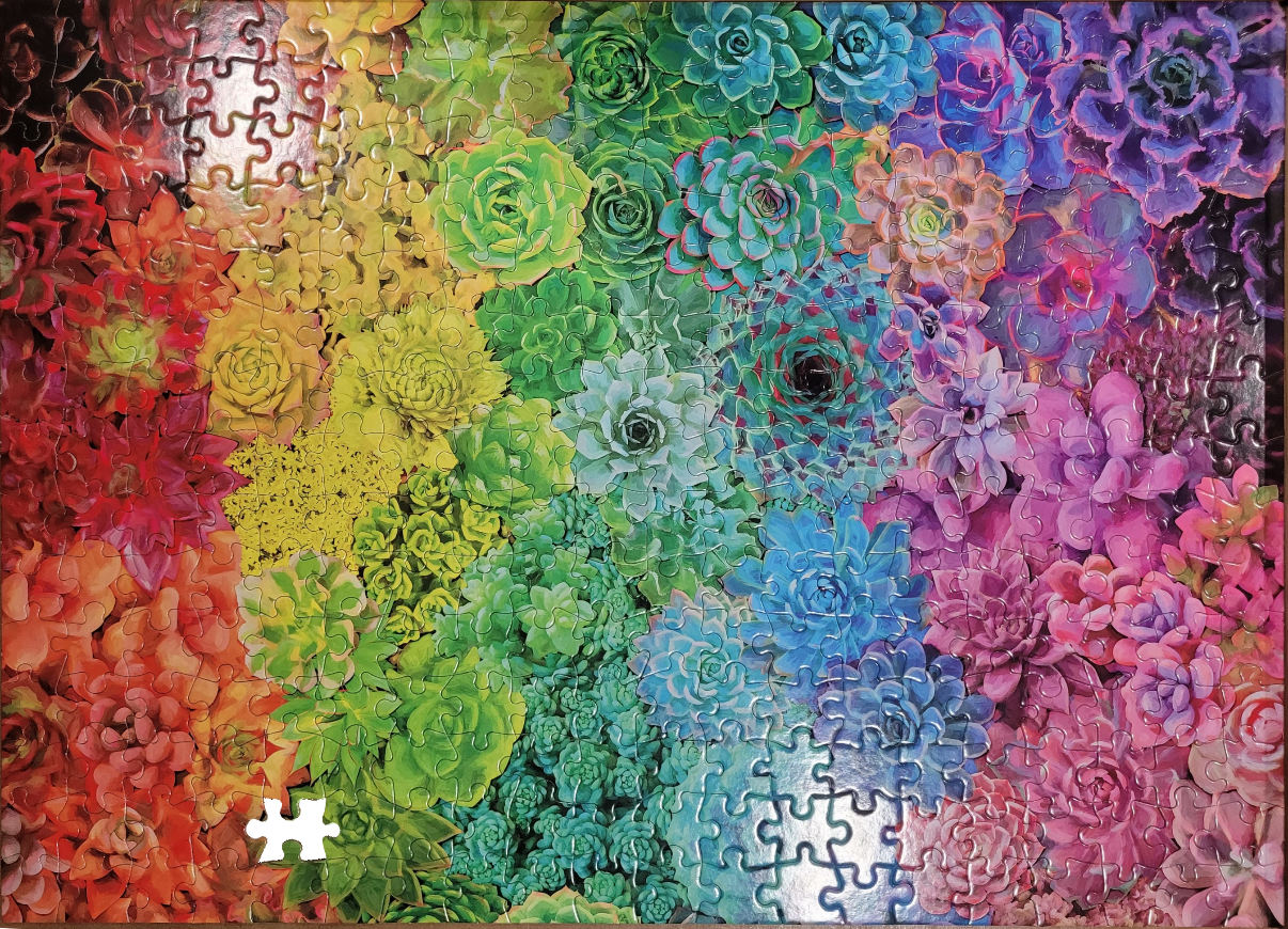 A vibrant, rainbow-colored arrangement of various succulent plants tightly packed together.