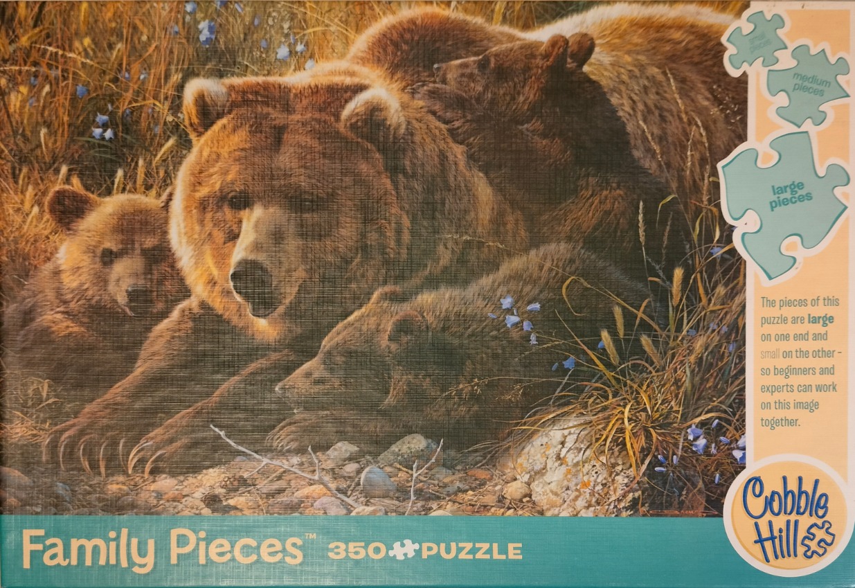 A mother grizzly bear resting with two cubs in a grassy meadow.