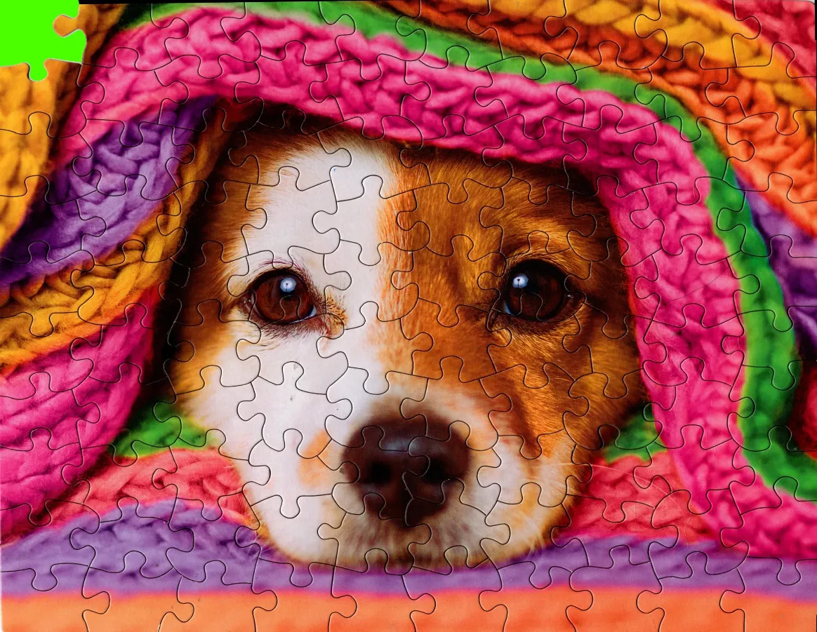 A close-up portrait of a puppy peeking out from under a bright, multi-coloured knitted blanket.