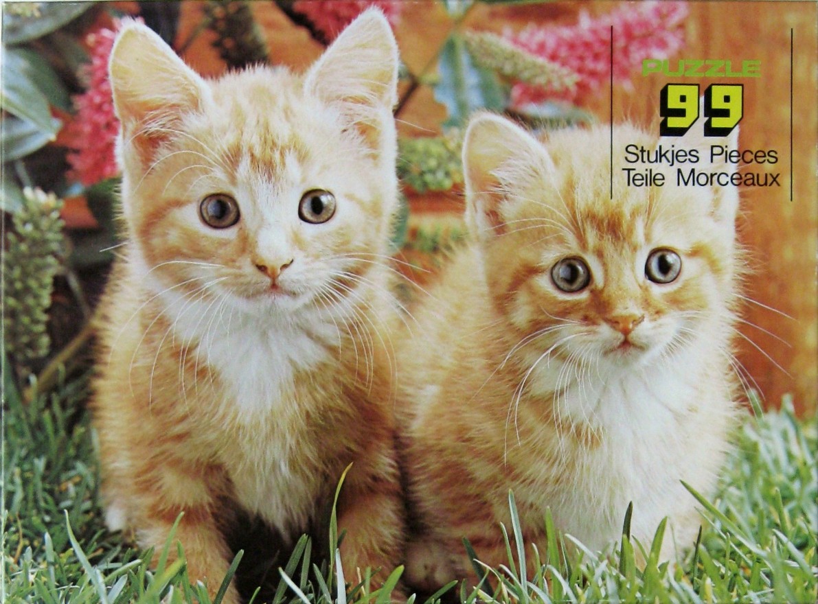 Two ginger tabby kittens sitting side by side in a patch of green grass.