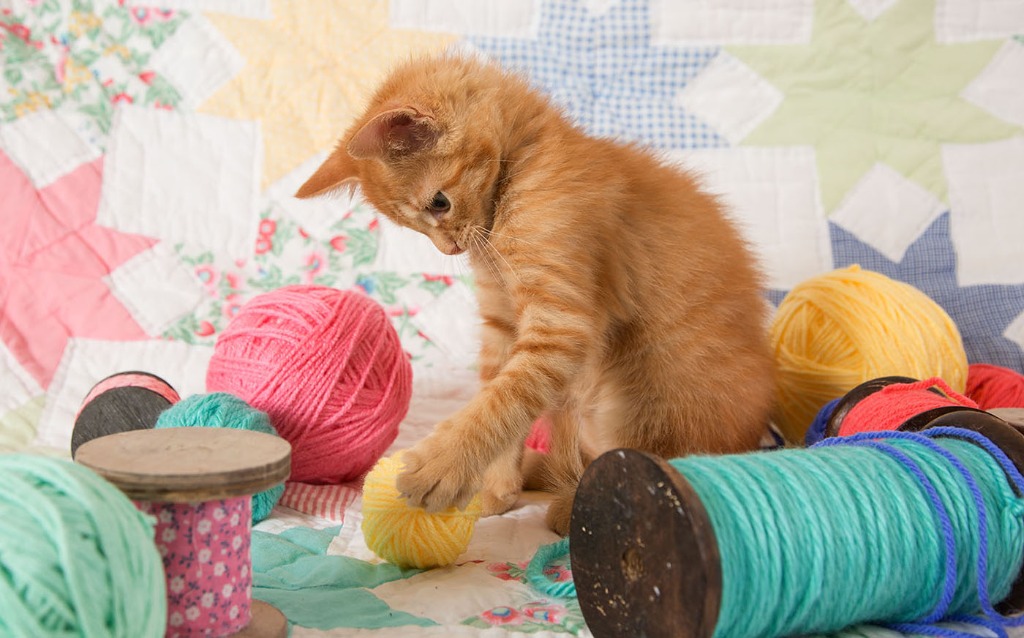 An orange tabby kitten playing with a ball of yellow yarn on a colorful patchwork quilt.