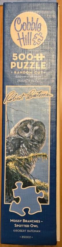 Mossy Branches - Spotted Owl