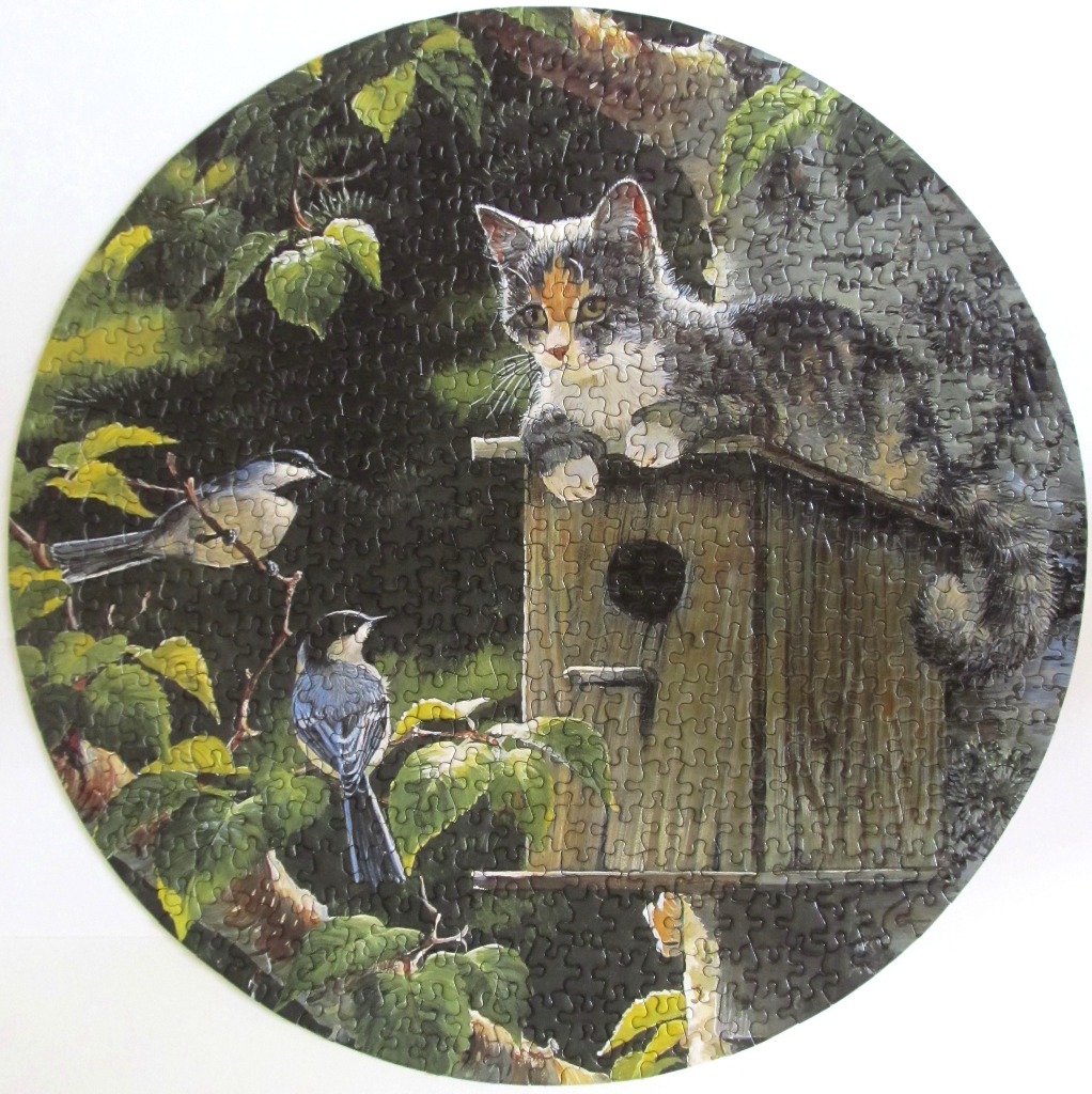 A kitten perched atop a wooden birdhouse watching two small birds in a tree, circular composition.
