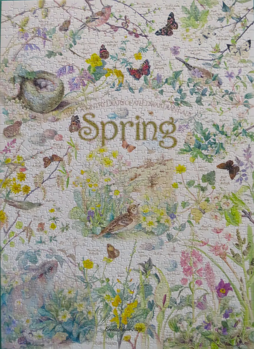 A nature-themed collage with the word Spring, featuring birds, butterflies, and wildflowers in a delicate watercolor style.