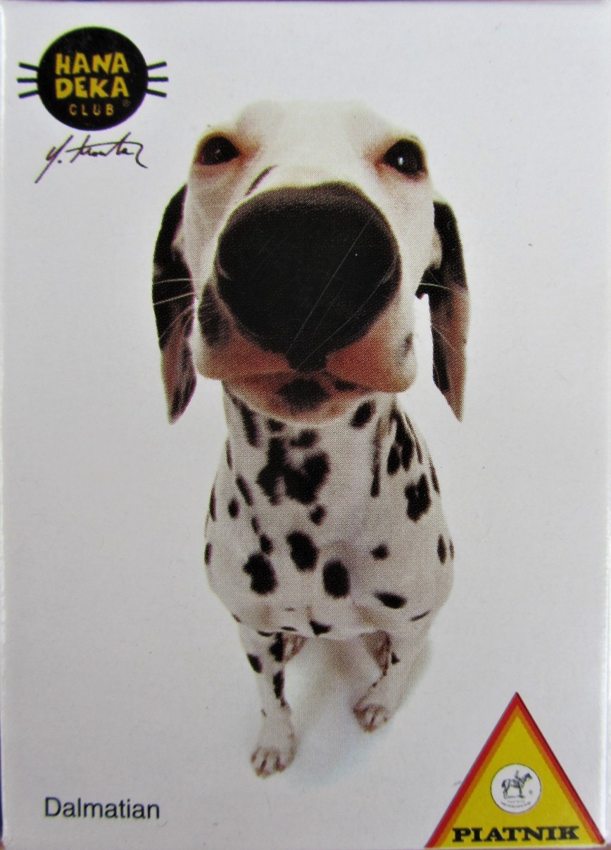 A close-up photograph of a Dalmatian dog with a distorted, wide-angle lens effect against a plain white background.