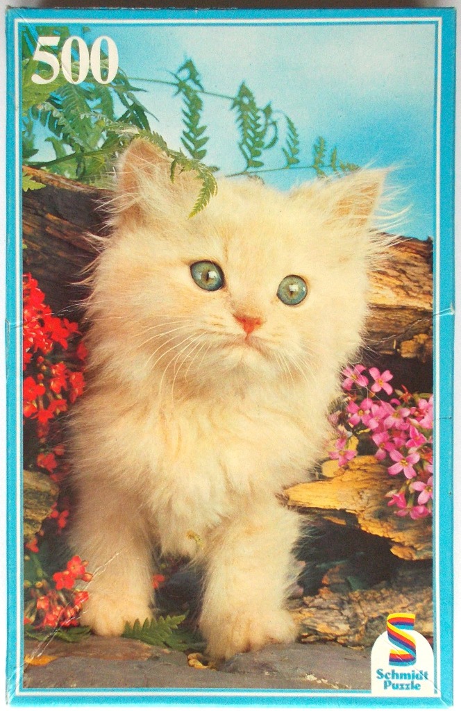 A fluffy cream-colored kitten standing in a garden with red and pink flowers.