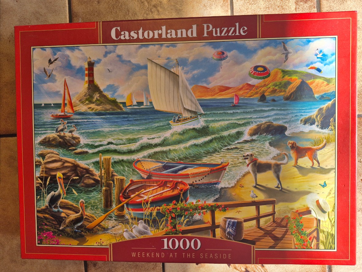 Painting of a scenic coastal landscape with sailboats, pelicans, and dogs on a sandy beach.