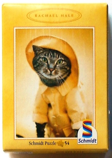 A close-up portrait of a grey tabby cat wearing a bright yellow raincoat.