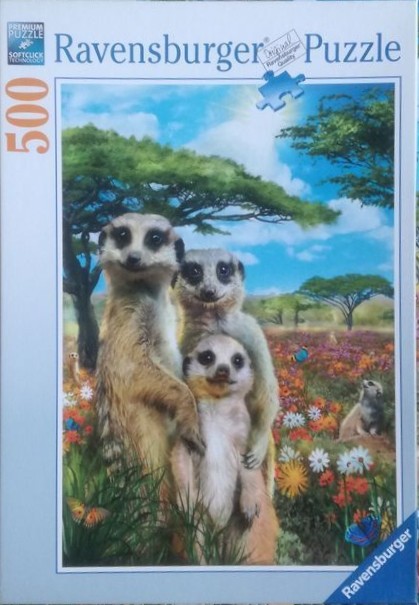 Mischievous Meerkats