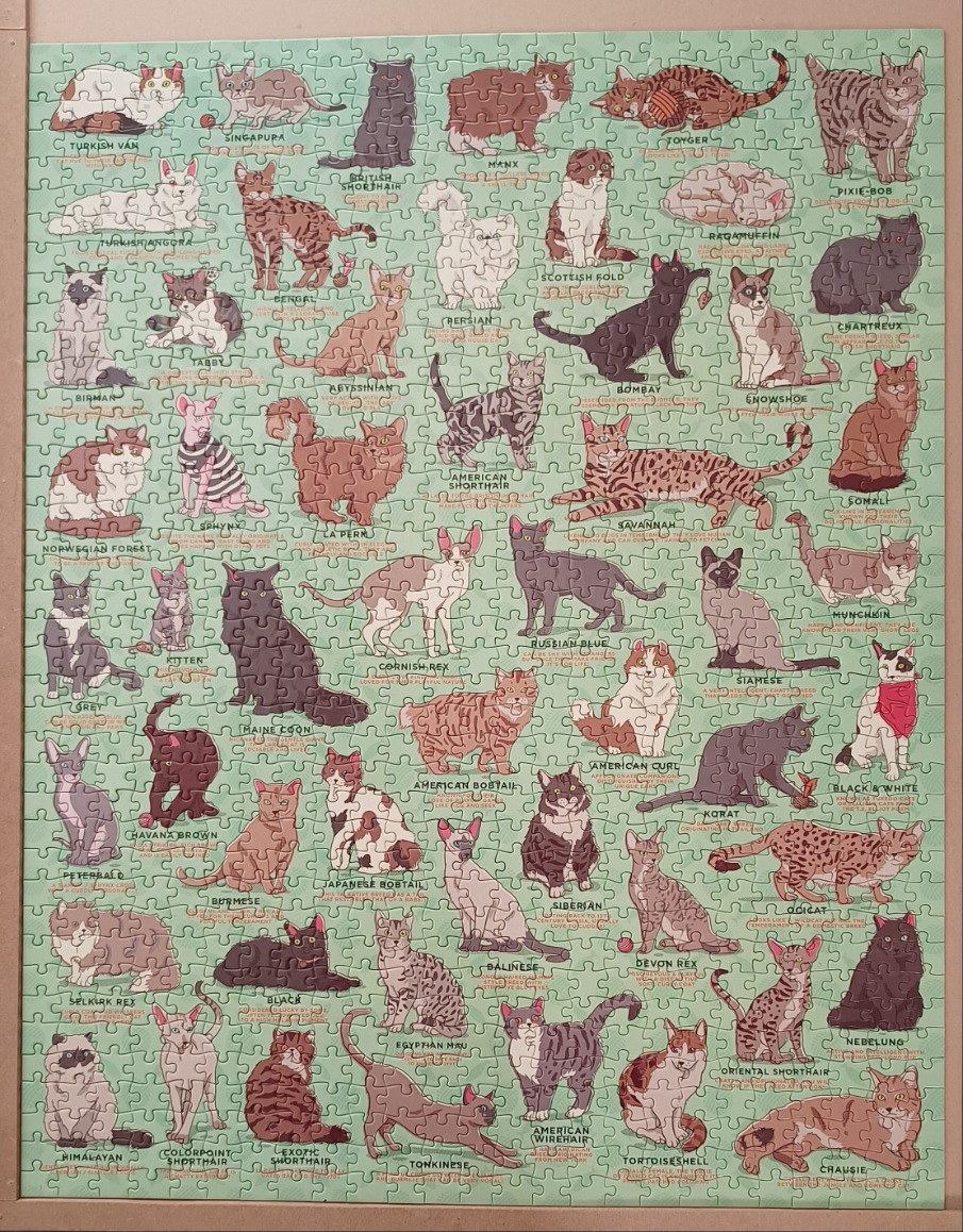 An illustrated chart featuring many different cat breeds against a light green background.