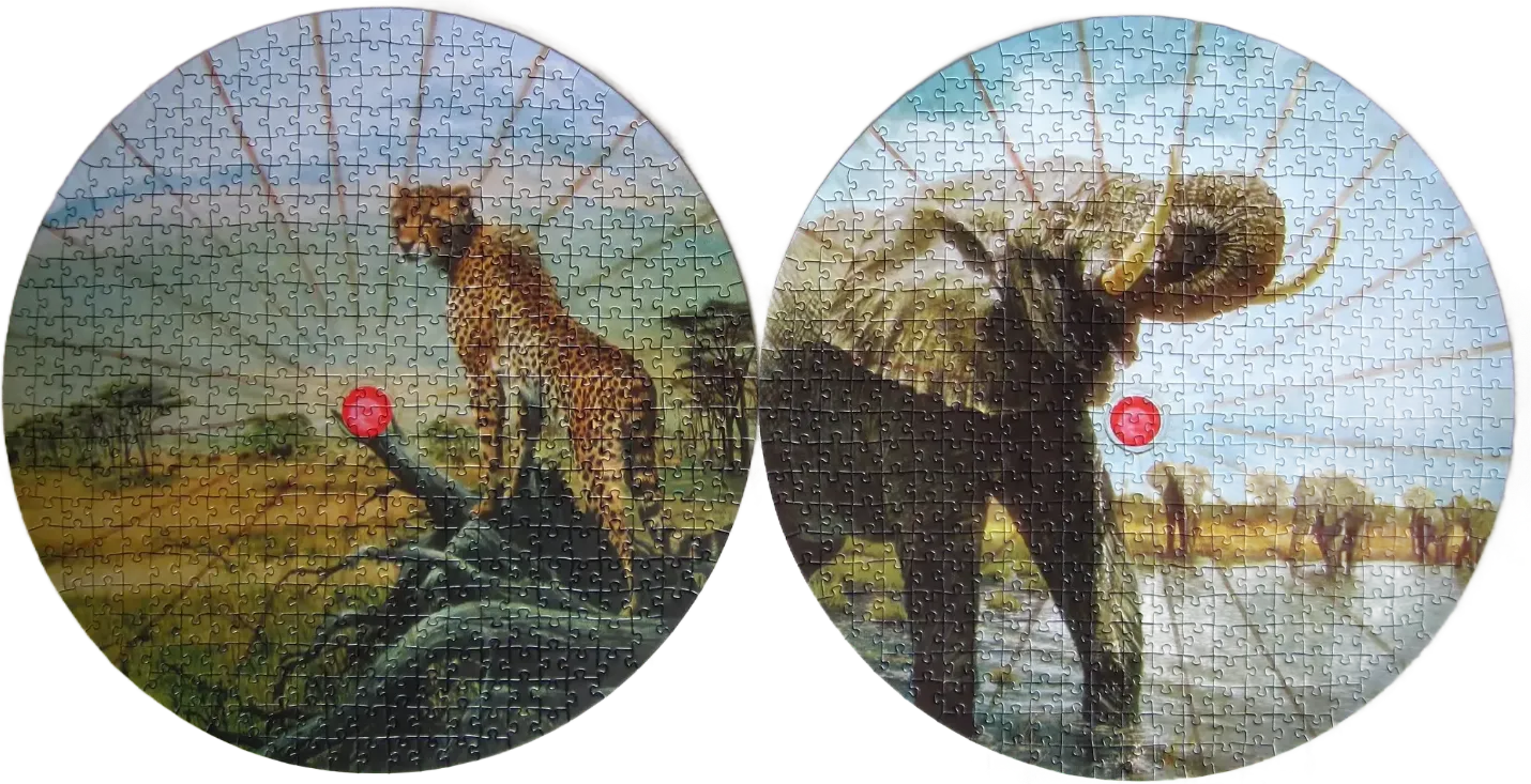 Two circular images of African wildlife, a cheetah on the left and an elephant on the right, against a sunrise backdrop.